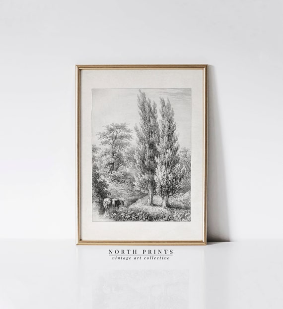 Rustic Country Landscape Drawing Vintage Sketch Wall Art North Prints Shop Sk262