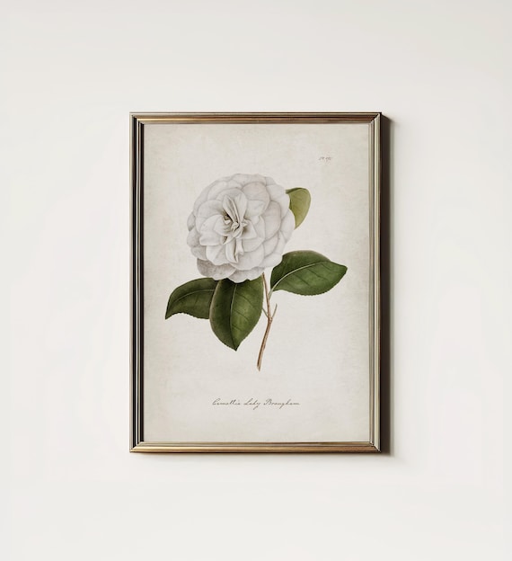Cottagecore Botanical Flower Art Print, Bedroom Decor