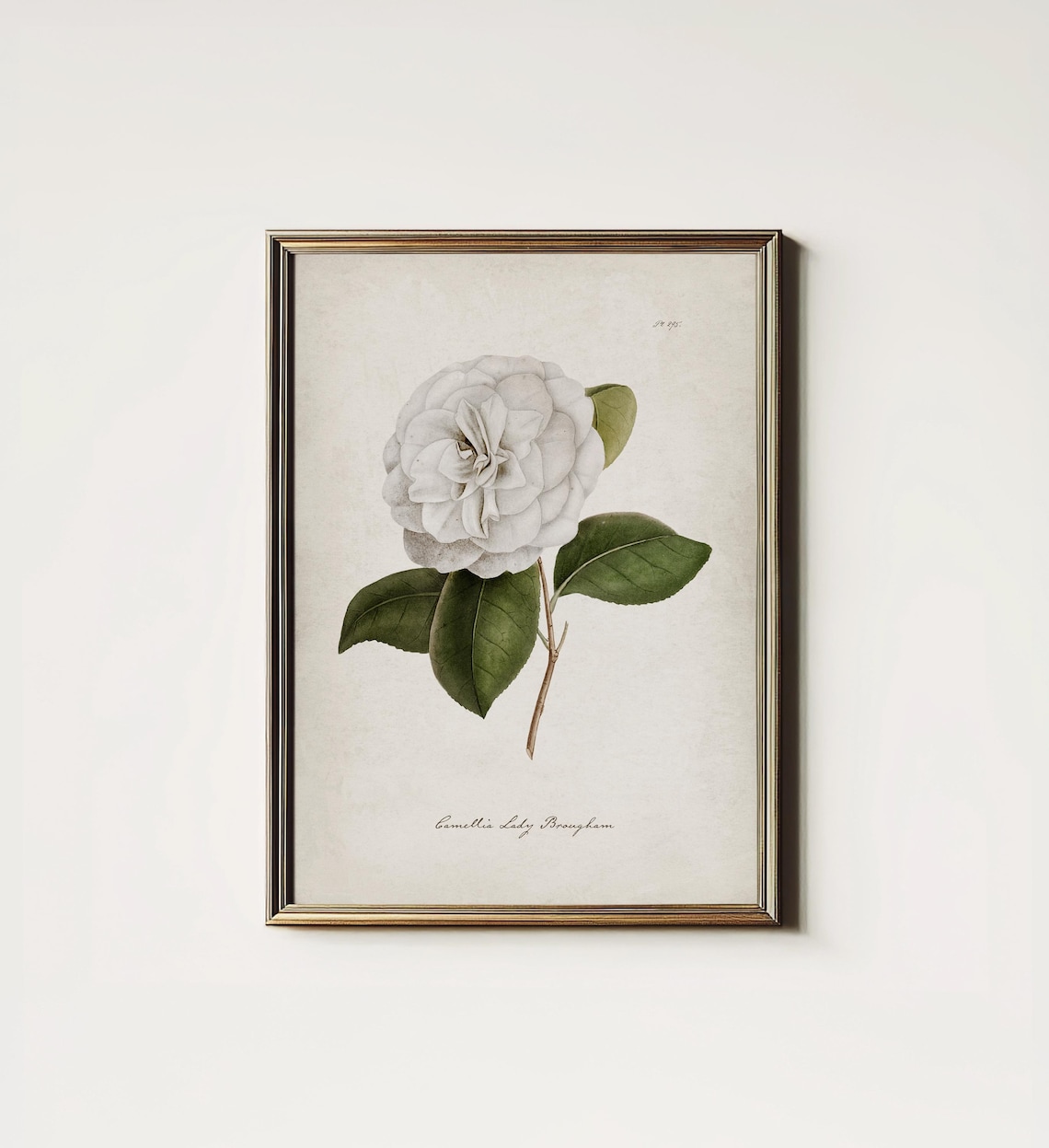 Cottagecore Botanical Flower Art Print, Bedroom Decor
