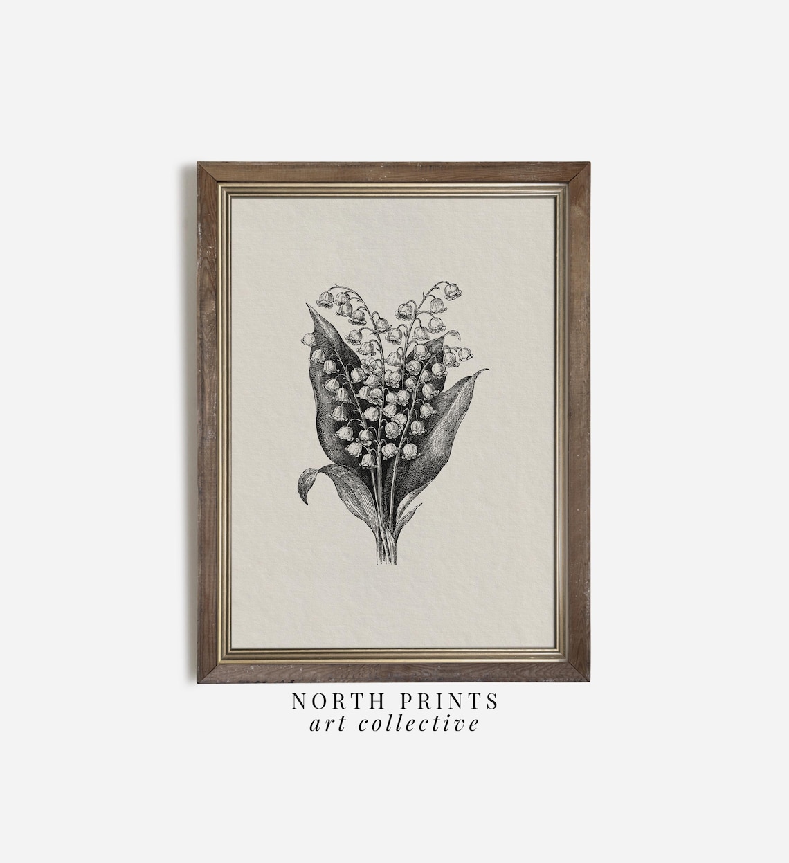 Lily Of The Valley Botanical Sketch Vintage Birth Flower Poster
