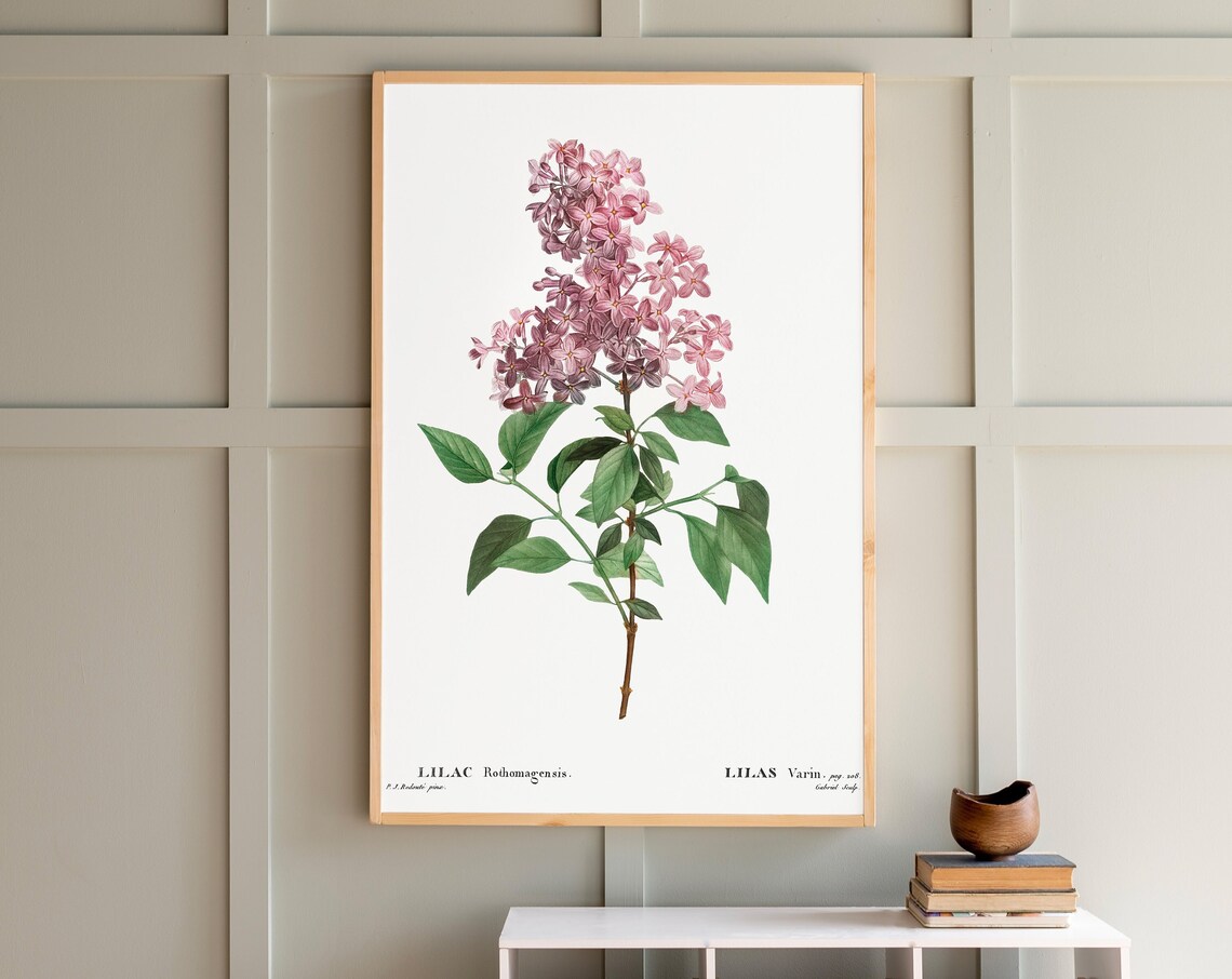 Lilac Flowers Botanical Living Room Wall Art Print