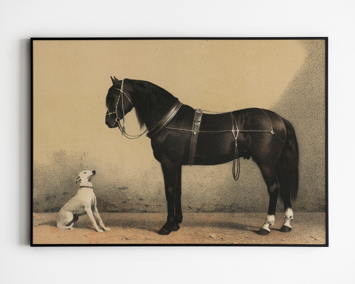 Antique Black Horse And White Dog Vintage Lithograph Wall Art