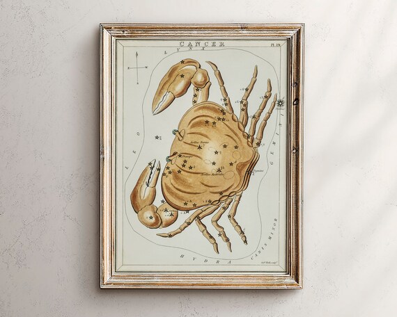 Astrology Mapgift For Astrologyzodiac Giftsvintage Zodiac Posterantique Map Printvintage Printcelestial Home Decordark Academia