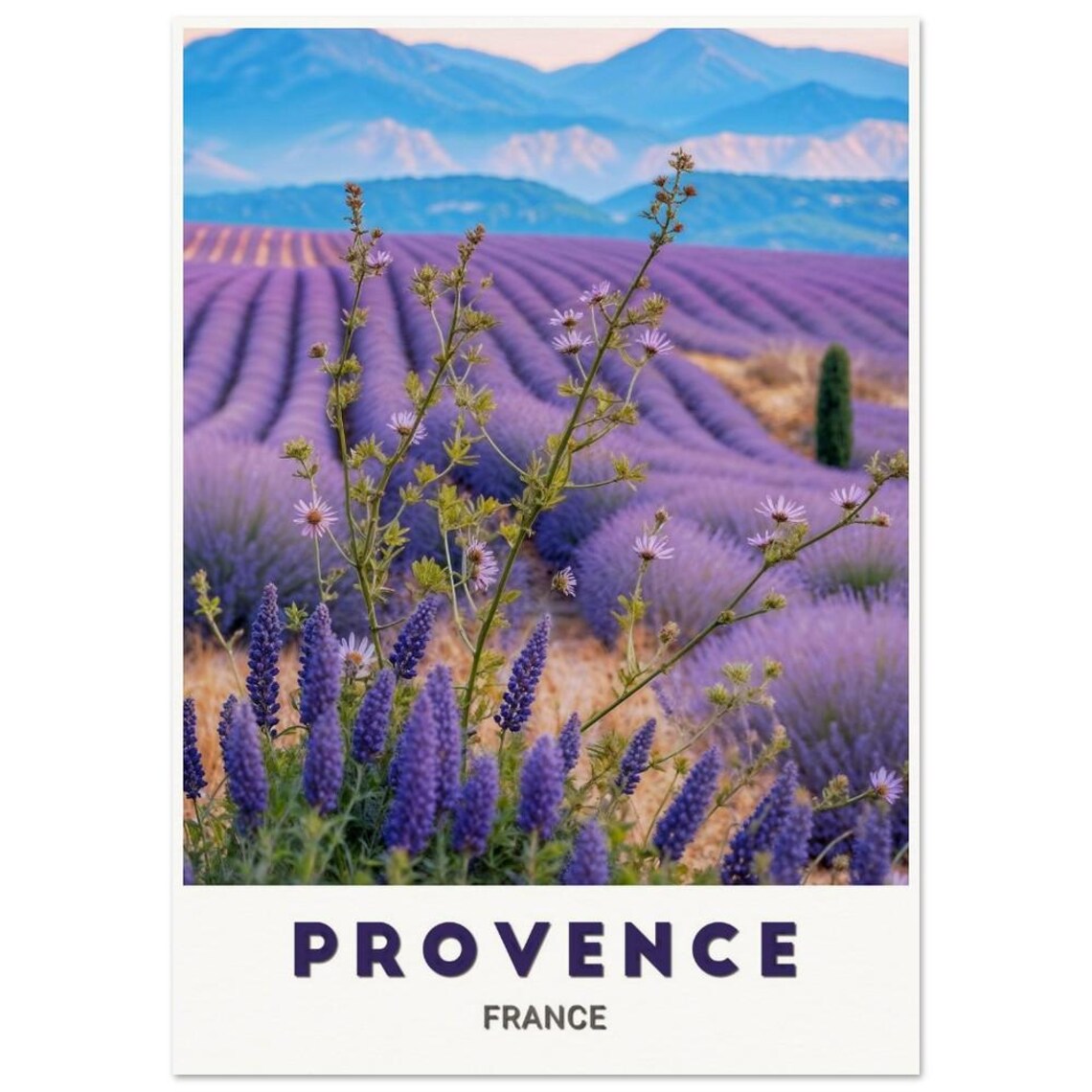 Provence France Lavender Field Wildflowers Mountain View Poster