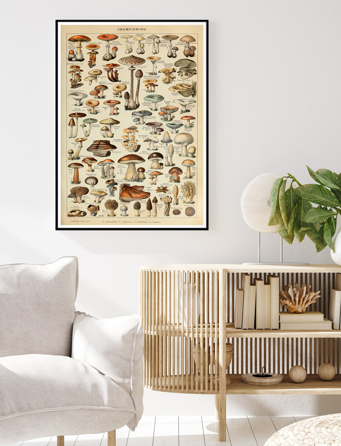 Adolphe Milliot Vintage Mushroom Art Print - Image 2