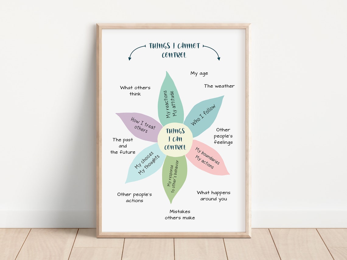 Things I Can Control Flower Diagram Things I Cannot Control Poster