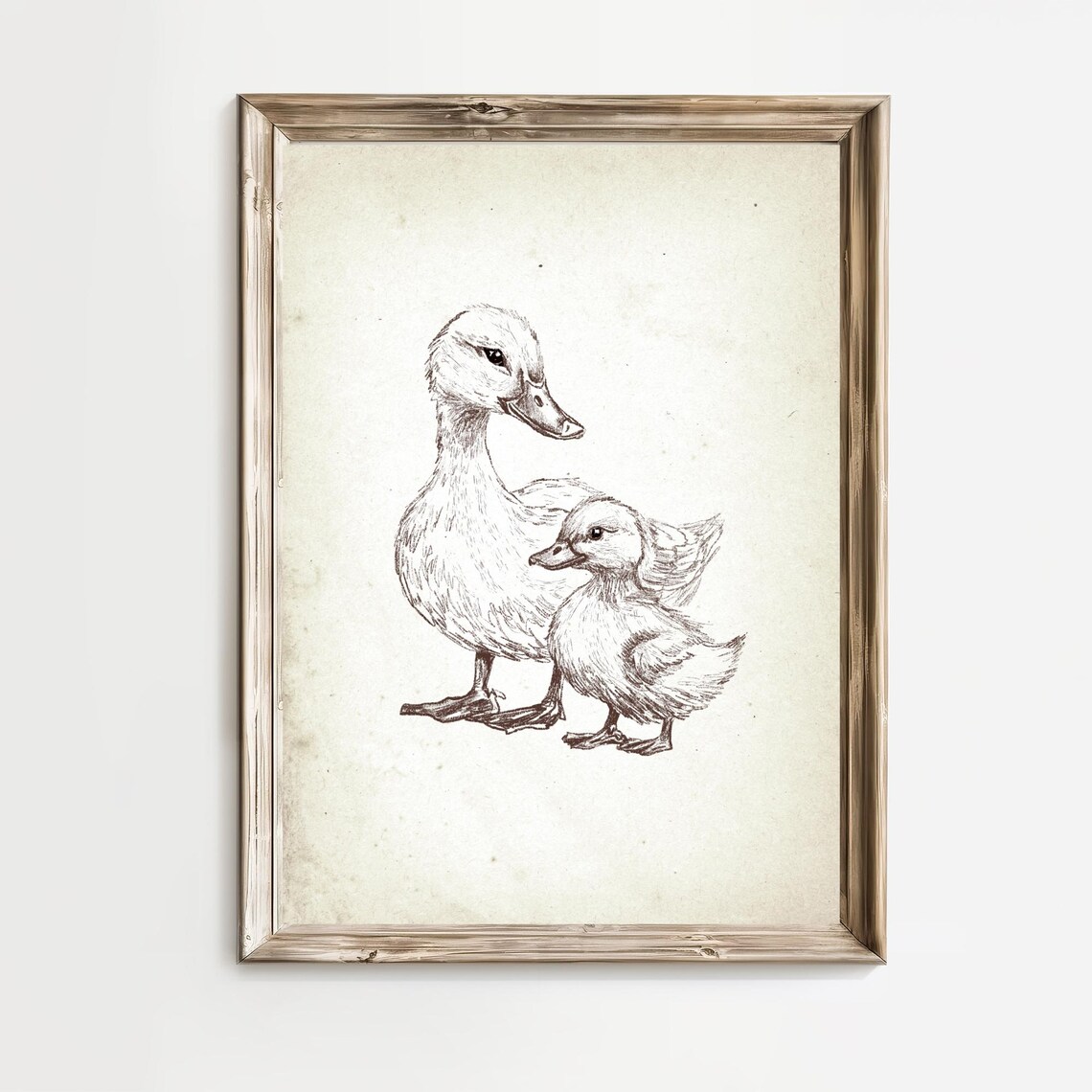 Mother Duck And Duckling Vintage Sketch Nursery Art Wall Poster