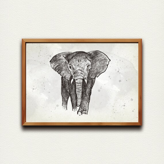 Baby Elephant Front Facing Sketch Safari Nursery Animal Poster