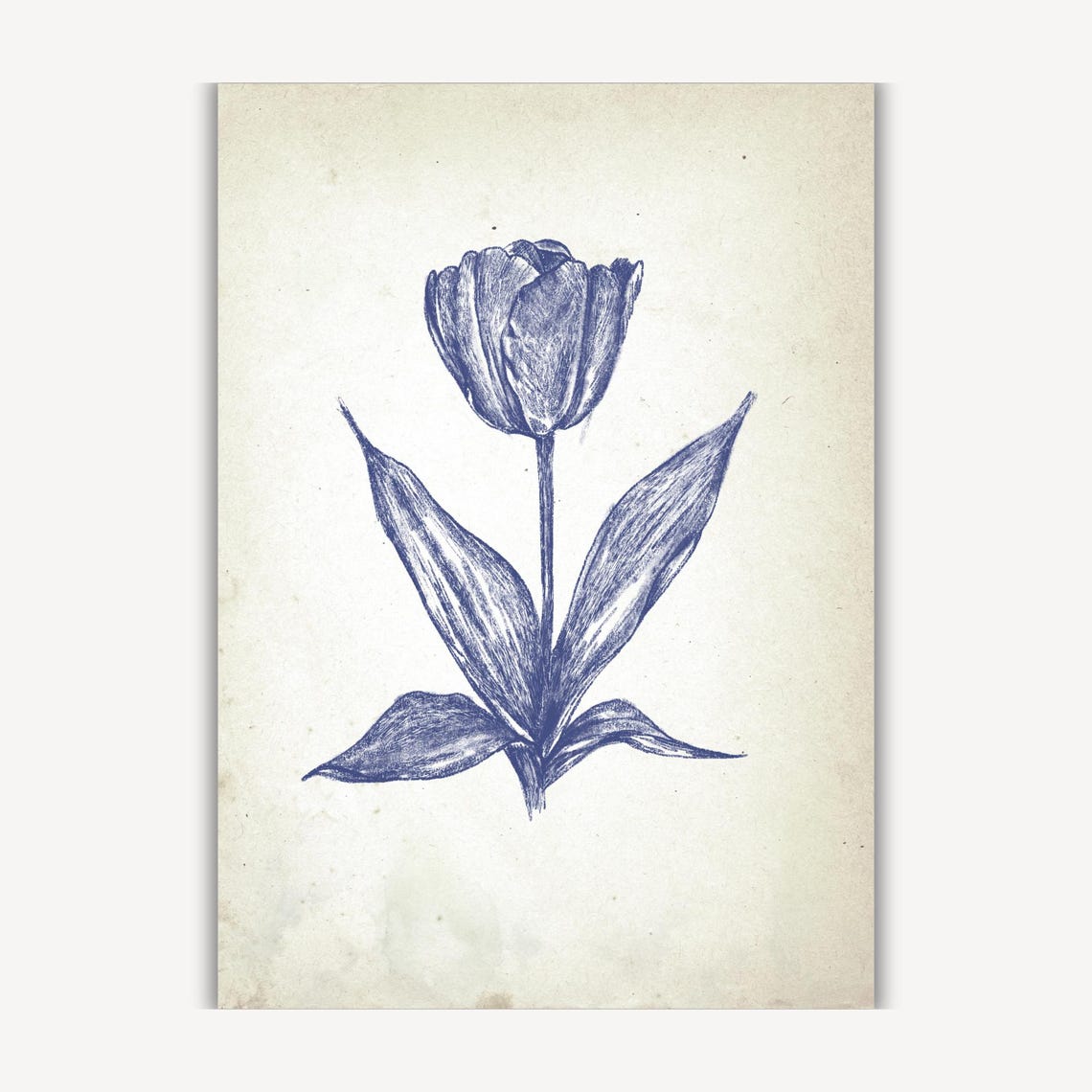 Blue Tulip Blossom in Vintage Botanical Ink Sketch Art Poster - Image 2