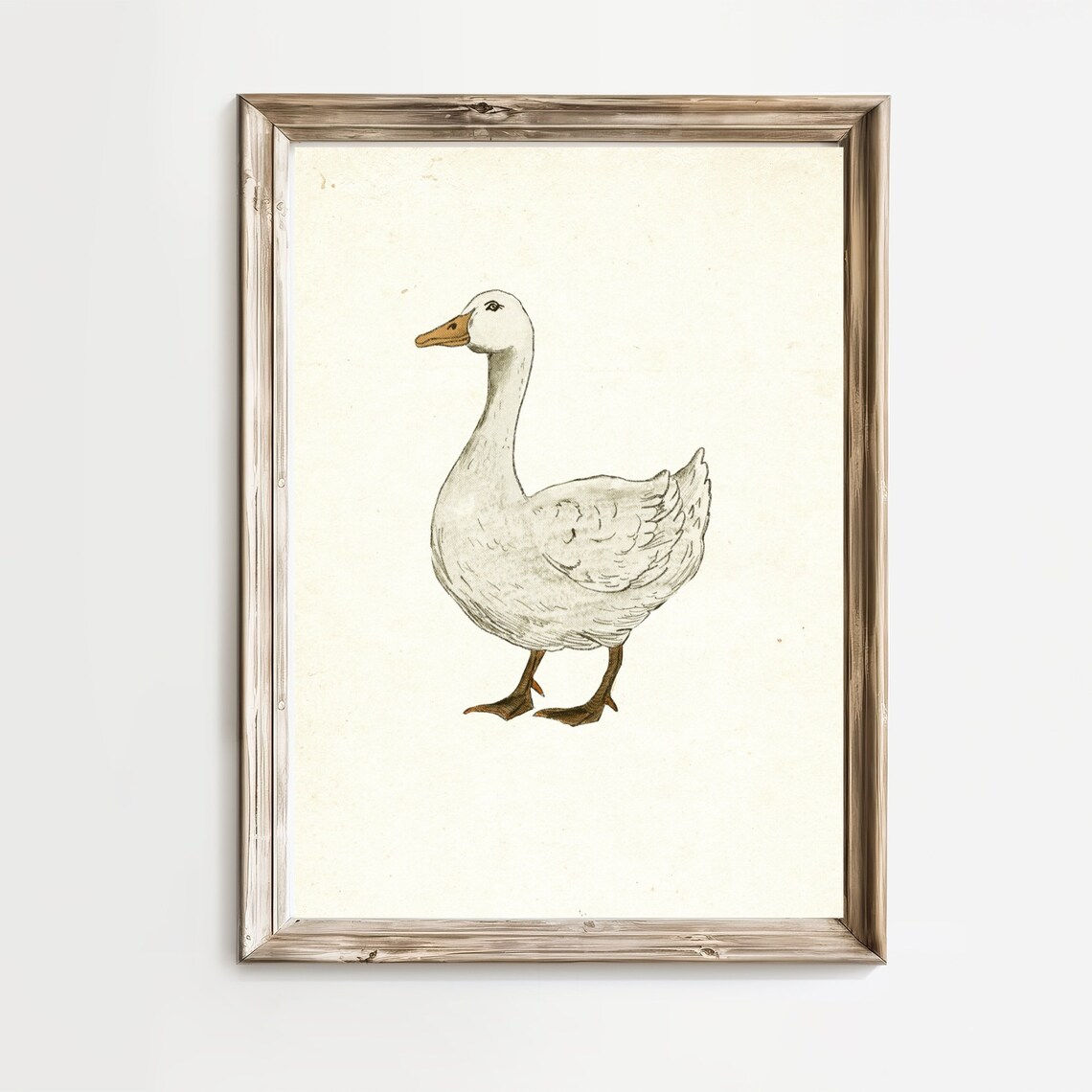 White Goose Rustic Country Sketch Neutral Farmhouse Art Print