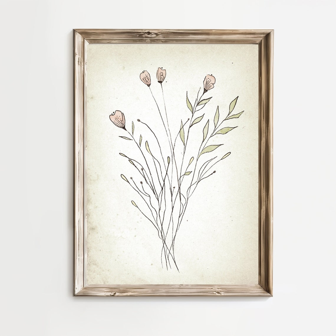 Delicate Pink Flower Buds Minimal Botanical Sketch Art Print