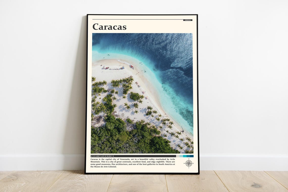 Caracas Venezuela Tropical Island Beach Aerial Palm Trees Poster
