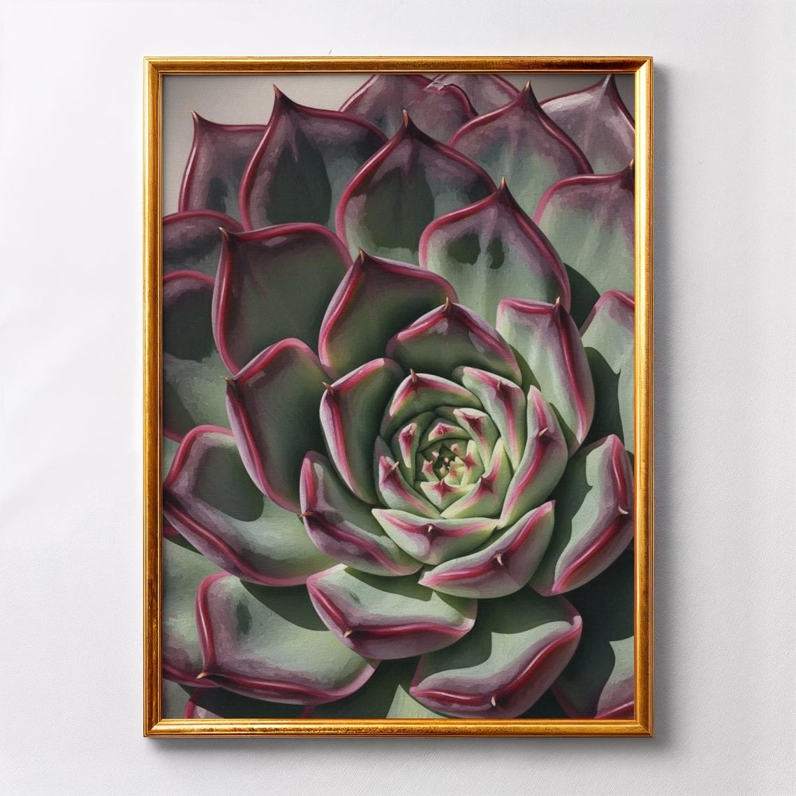 Succulent Rosette Closeup Pink Edged Leaves Botanical Art Print