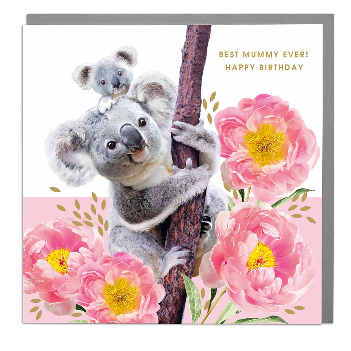 Koalas Best Mummy Mum Birthday Card
