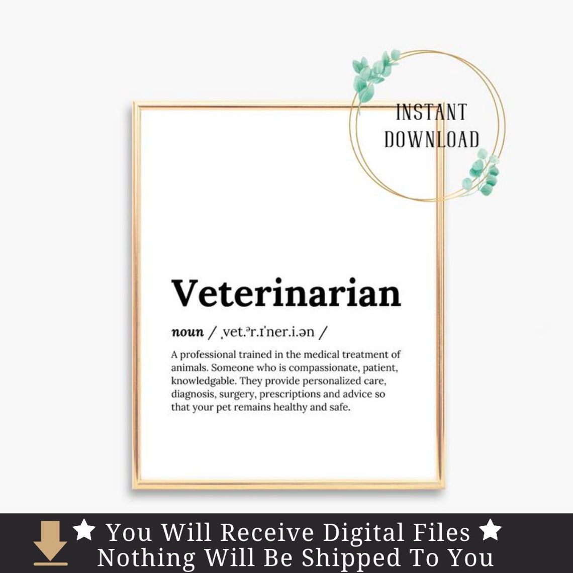Veterinarian Definition Meaning Dictionary Serif Typography Poster