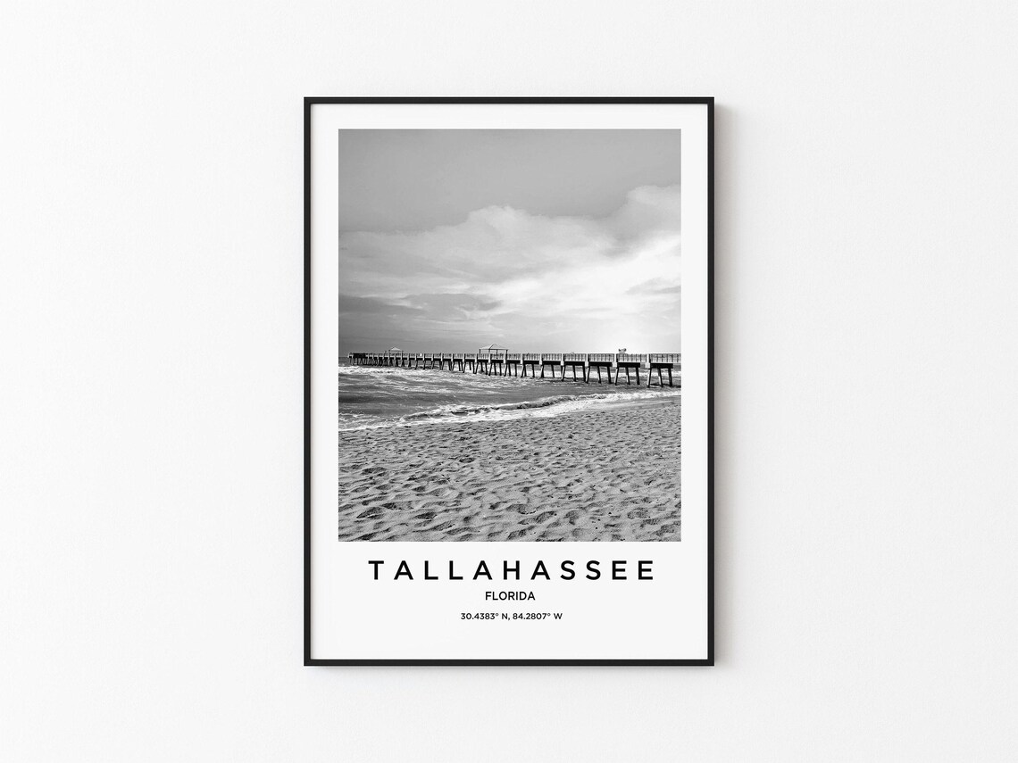 Tallahassee Travel Poster, City Map Art Print