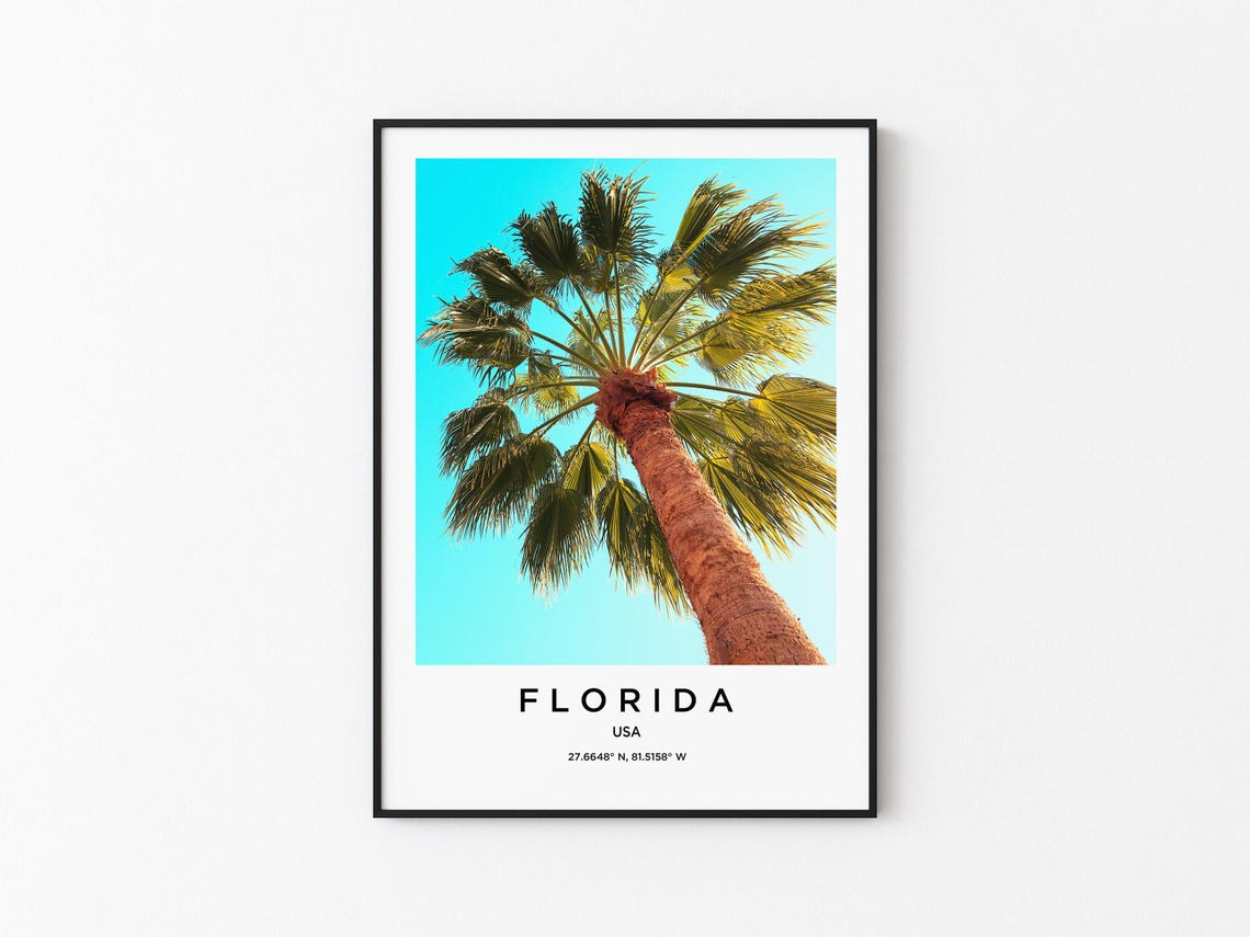 Florida Palm Tree Against Turquoise Sky Travel Photography Poster