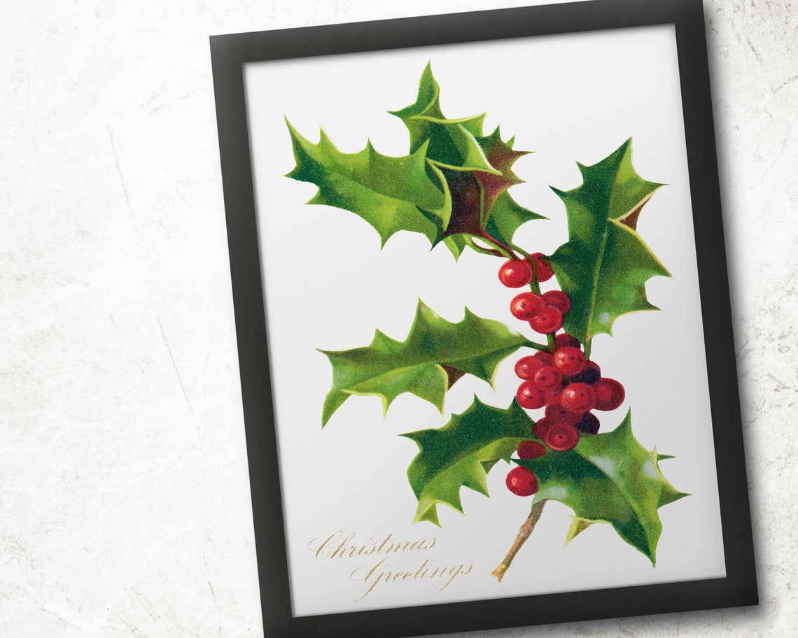 Vintage Red Holly Branch Christmas Greetings Botanical Wall Art - Image 4