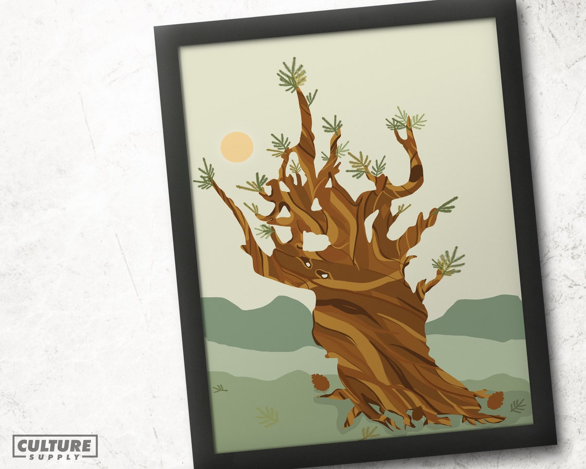 Ancient Bristlecone Pine Twisted Tree Minimalist Nature Wall Art - Image 4