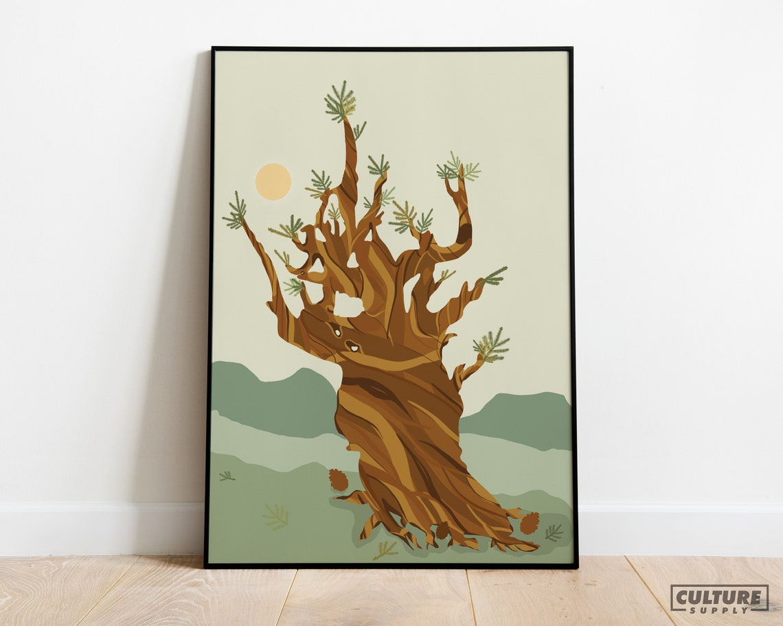 Ancient Bristlecone Pine Twisted Tree Minimalist Nature Wall Art