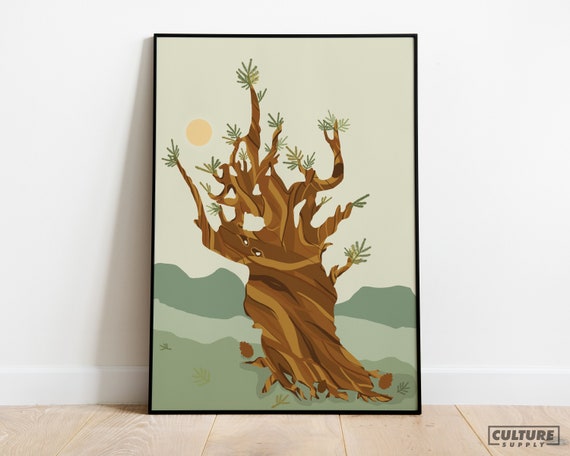 Ancient Bristlecone Pine Premium Poster Print Minimalist Nature Boho Wall Art Decoration Great Basin Print Aesthetic Decor Gift