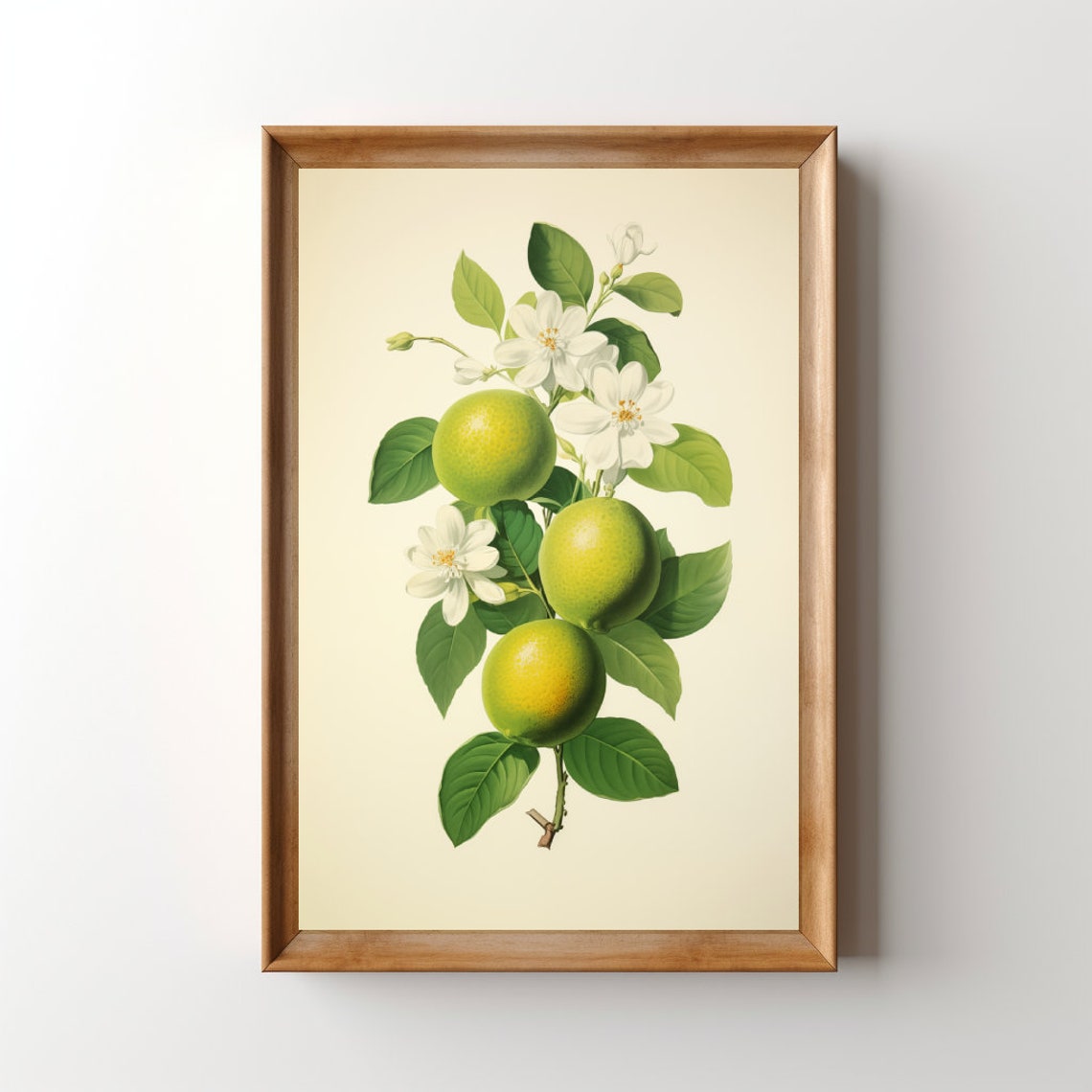 Vintage Limes Poster Print, Retro Citrus Artwork