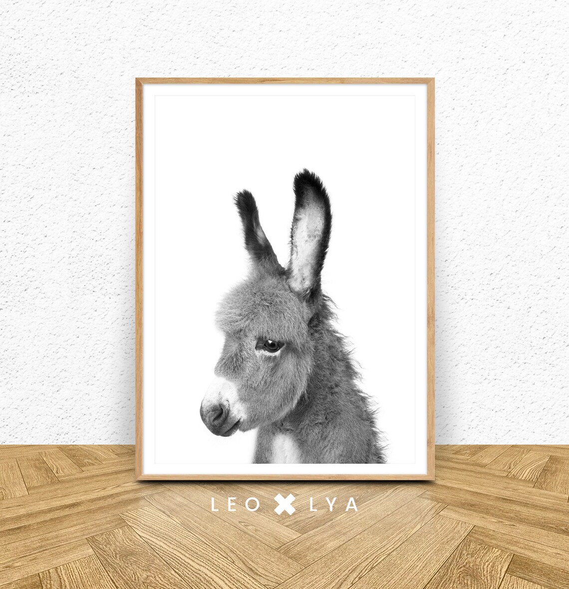 Baby Donkey Black and White Nursery Animal Portrait Photo Poster