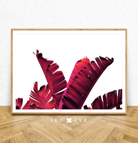 Palm Leaf Print Plant Photo Fashion Color Large Tropical Home Decor Poster Modern Minimal Tropical Art