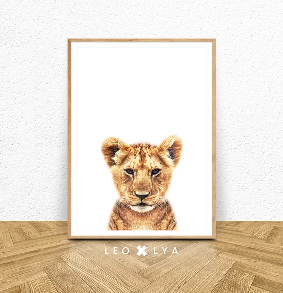 Lion Cub Photography Safari Nursery Animal Print