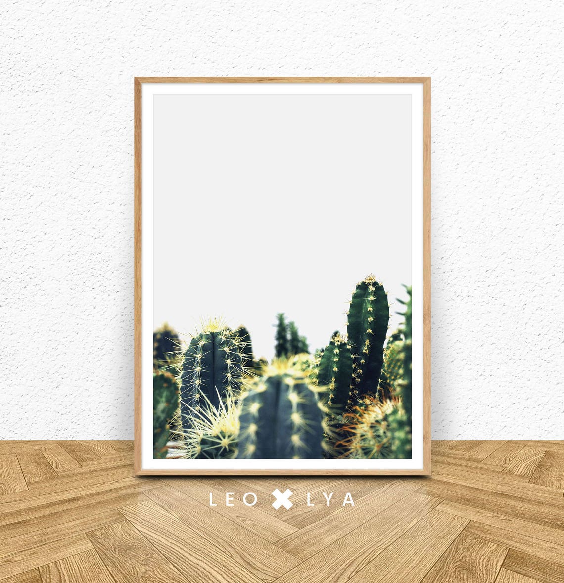 Green Cacti In Sunlight Desert Plants Minimalist Photography Wall Art