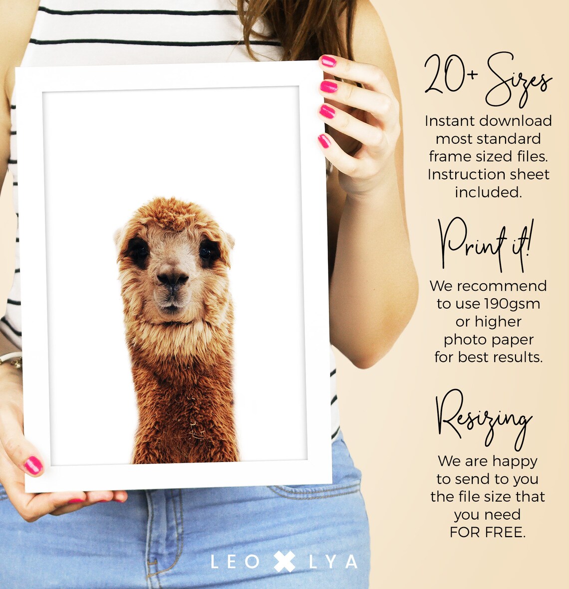 Cute Alpaca Portrait Photo White Background Minimalist Animal Wall Art