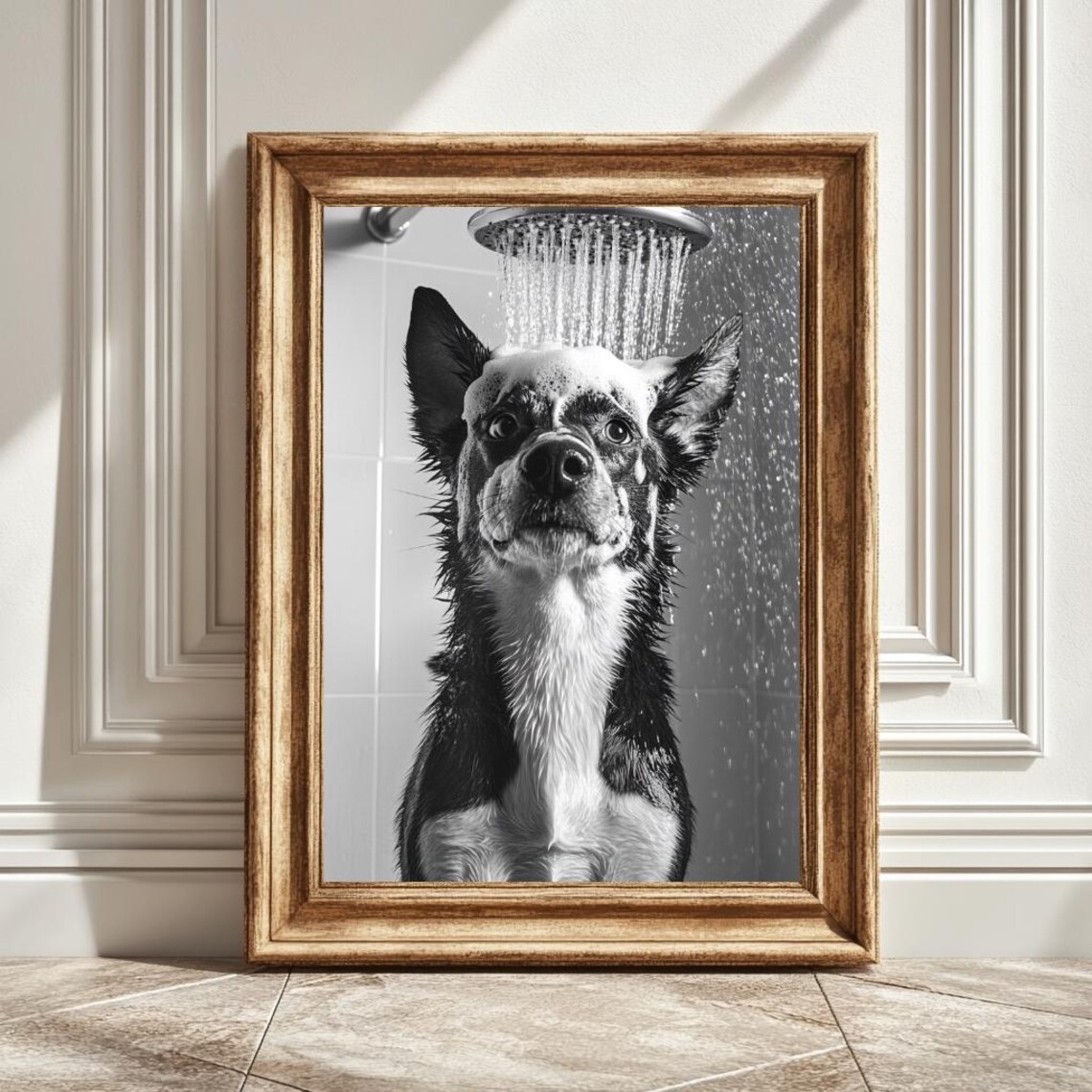 Black And White Husky Under The Shower Art Print