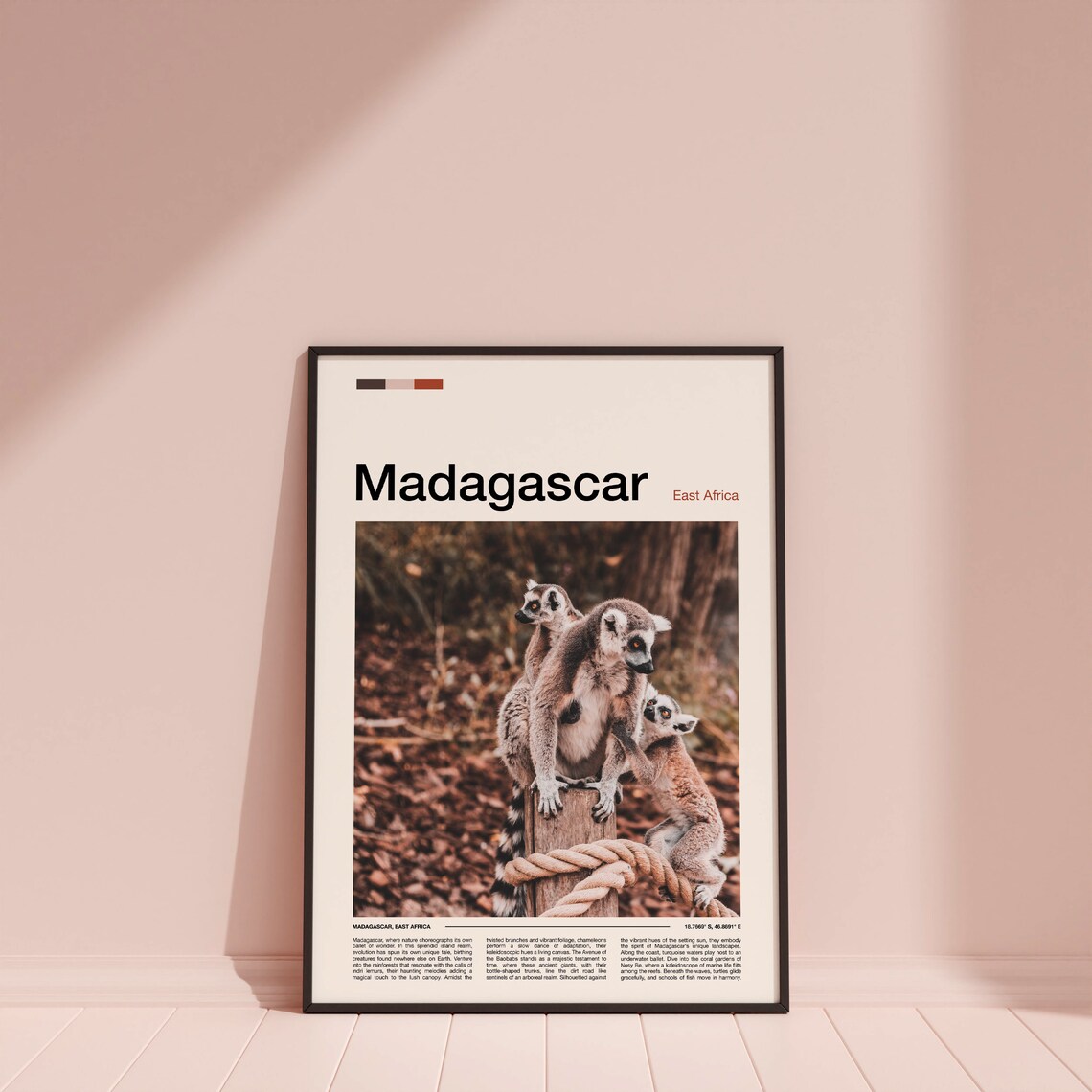 Madagascar Ring Tailed Lemur Family Wildlife Photography Poster - Image 4