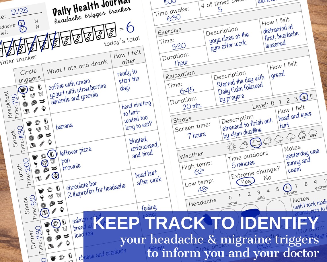 Comprehensive Daily Headache Tracker, Poster Print - Image 5