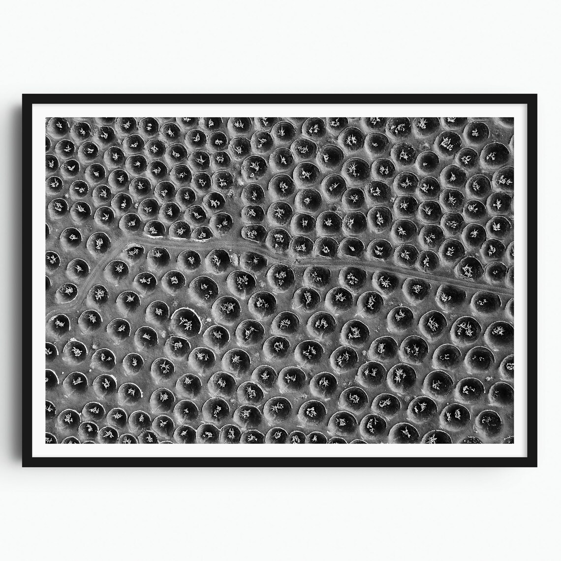 La Geria Vineyard Moon Craters Aerial Black and White Art Poster