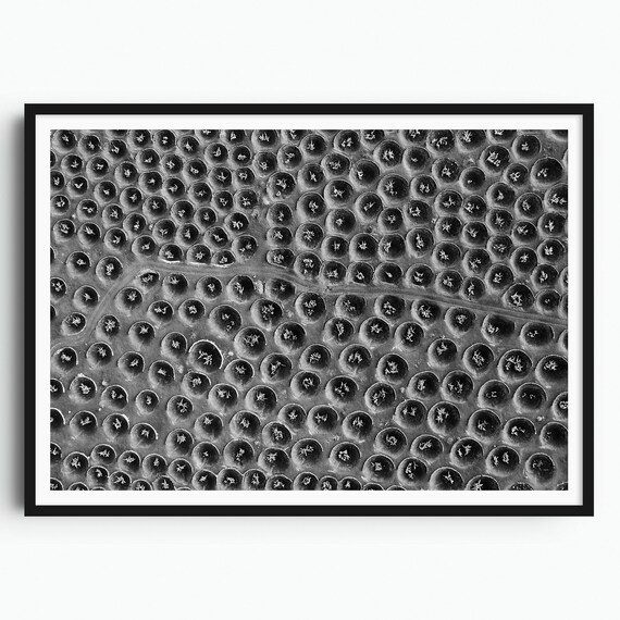 La Geria Lanzarote Travel Print Lanzarote Wall Art Lanzarote Poster Spain Print Timanfaya Canary Islands Spain Wall Art Vineyards
