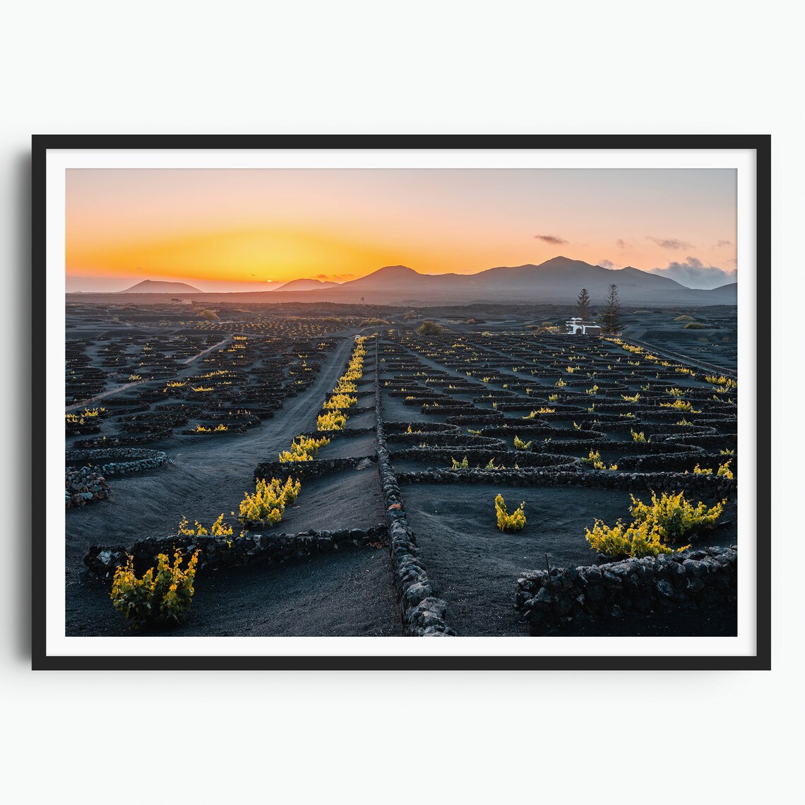 La Geria Vineyards Sunset Black Lava Field Lanzarote Travel Print