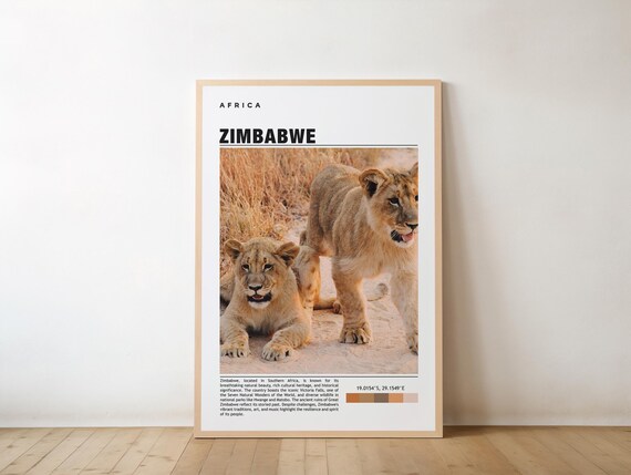 Zimbabwe Lion Cubs Golden Savannah Africa Wildlife Photo Poster