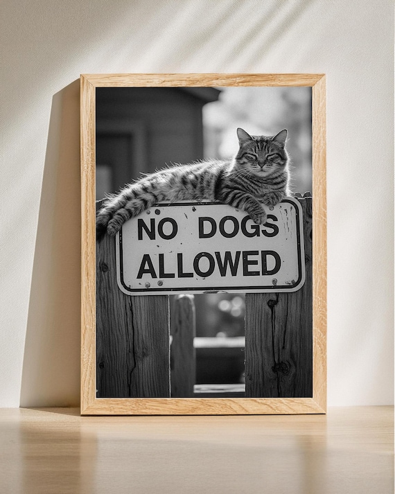 Tabby Cat On No Dogs Allowed Sign Funny Black And White Photo Poster