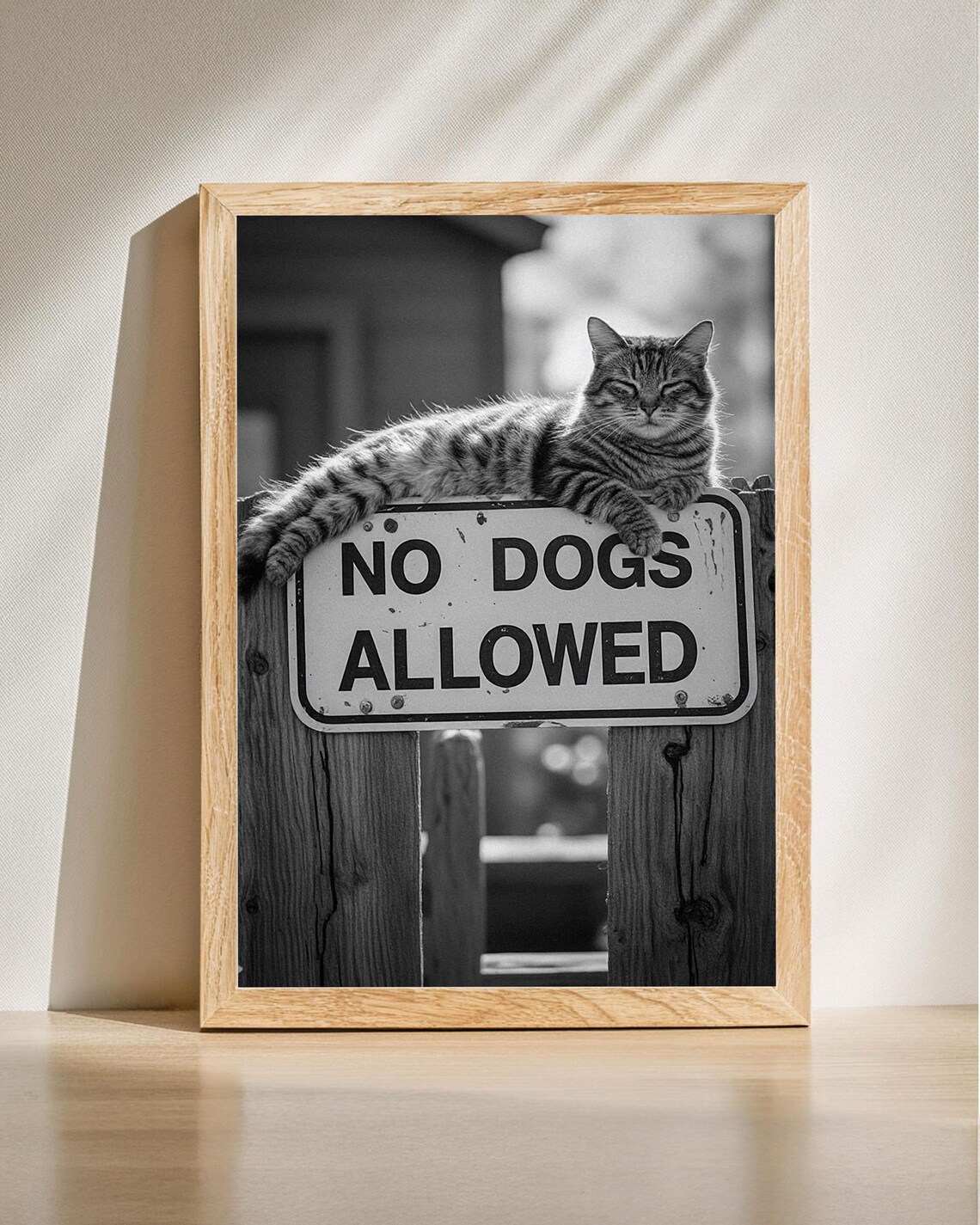 Tabby Cat On No Dogs Allowed Sign Funny Black And White Photo Poster