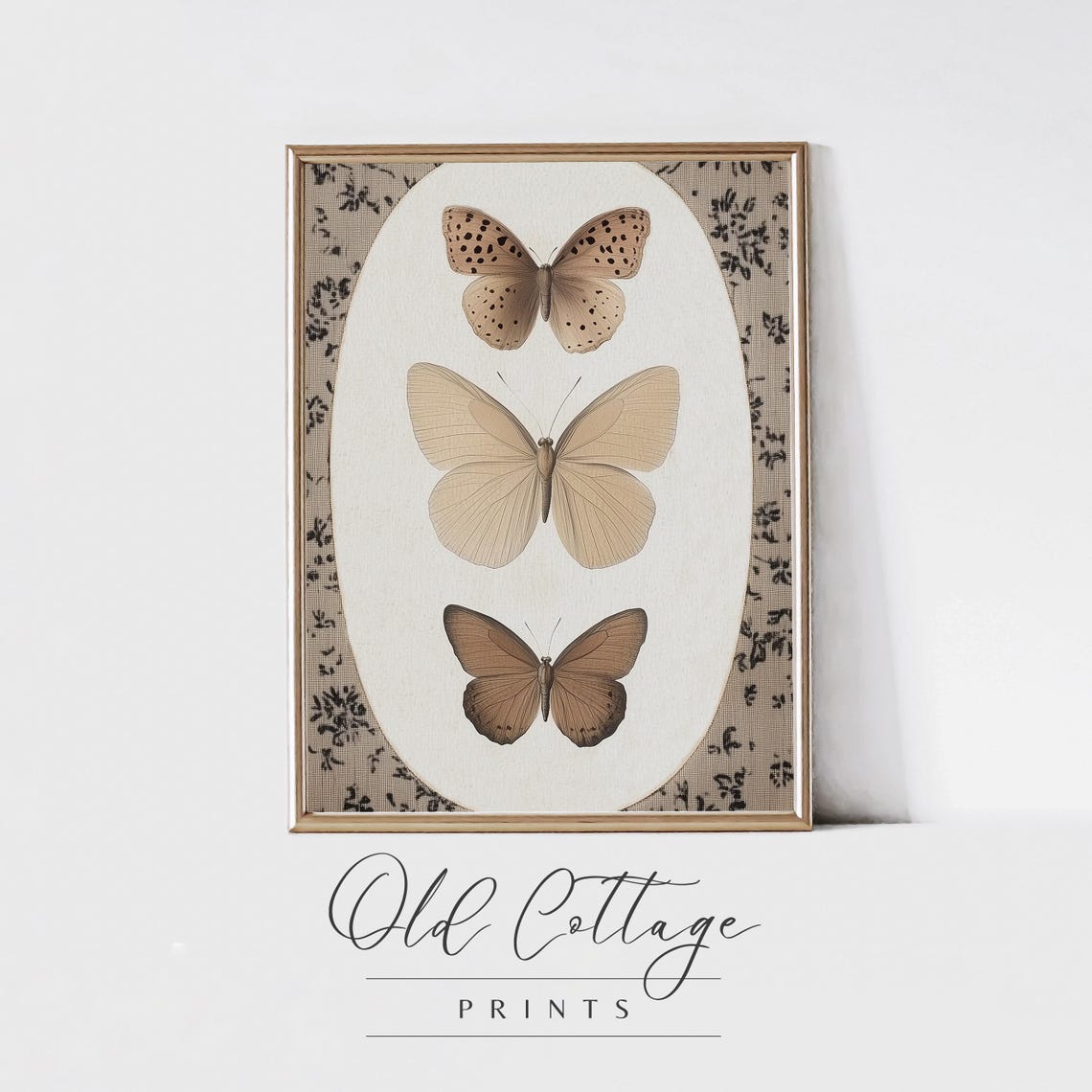 Vintage Butterfly Trio Study In Neutral Botanical Tones Poster