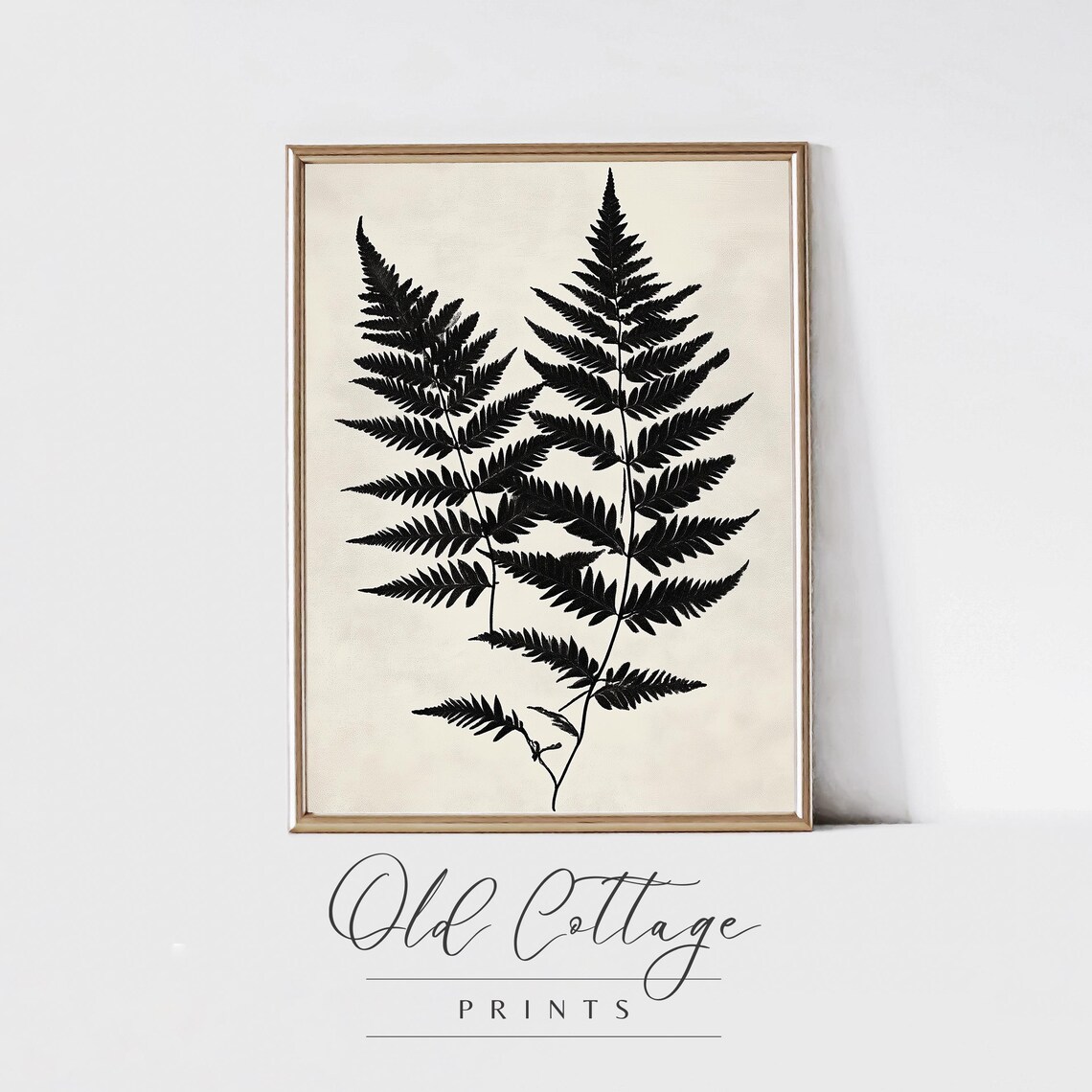 Black Fern Fronds Botanical Silhouette Minimalist Nature Print
