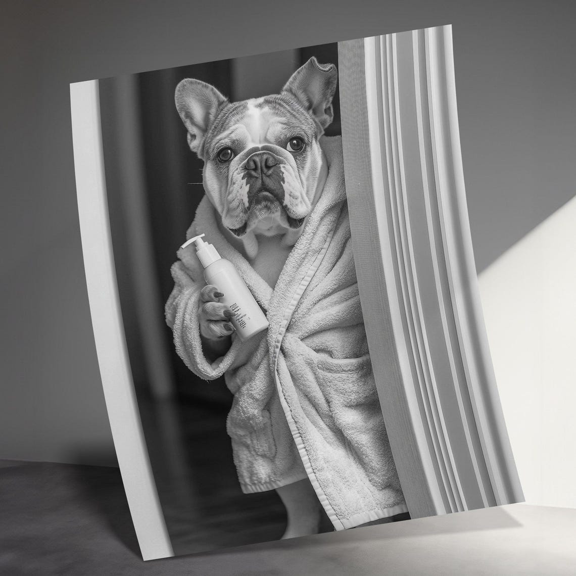 French Bulldog In Bathrobe Holding Bottle Black White Wall Art Poster - Image 3