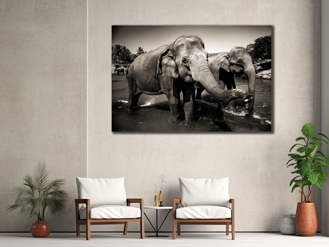 Elephants In Water Black White Wildlife Photography Art Wall Poster - Image 3