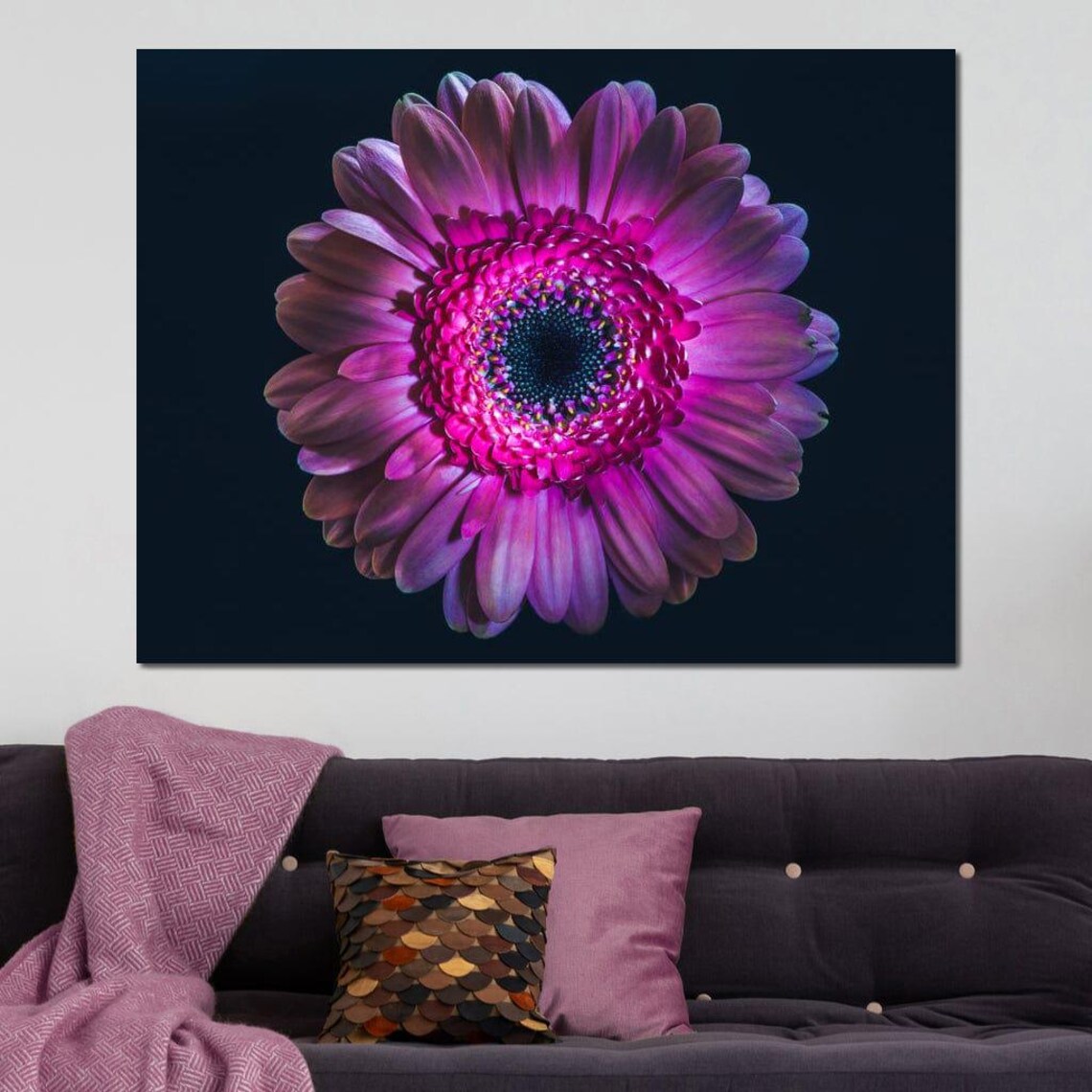Magenta Gerbera Daisy Black Background Macro Flower Wall Art - Image 4