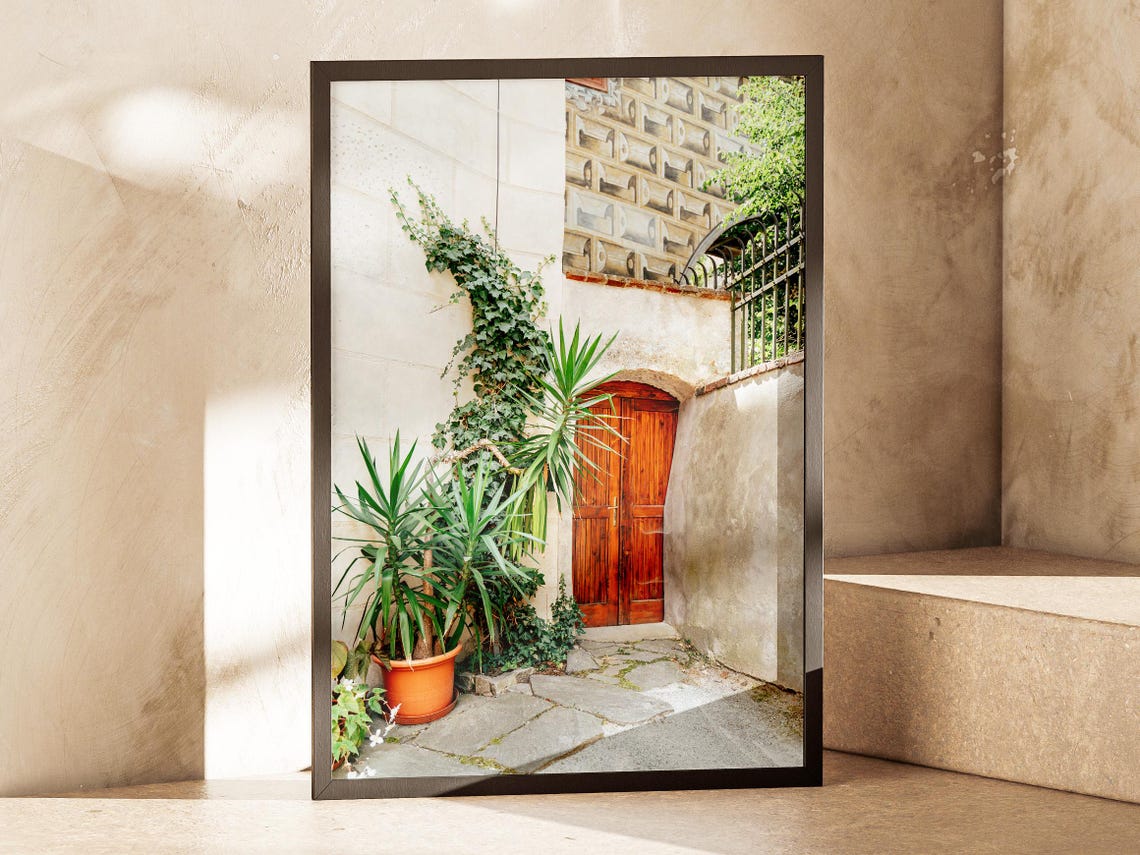Sunlit Courtyard With Wooden Door And Climbing Plants Photo Poster