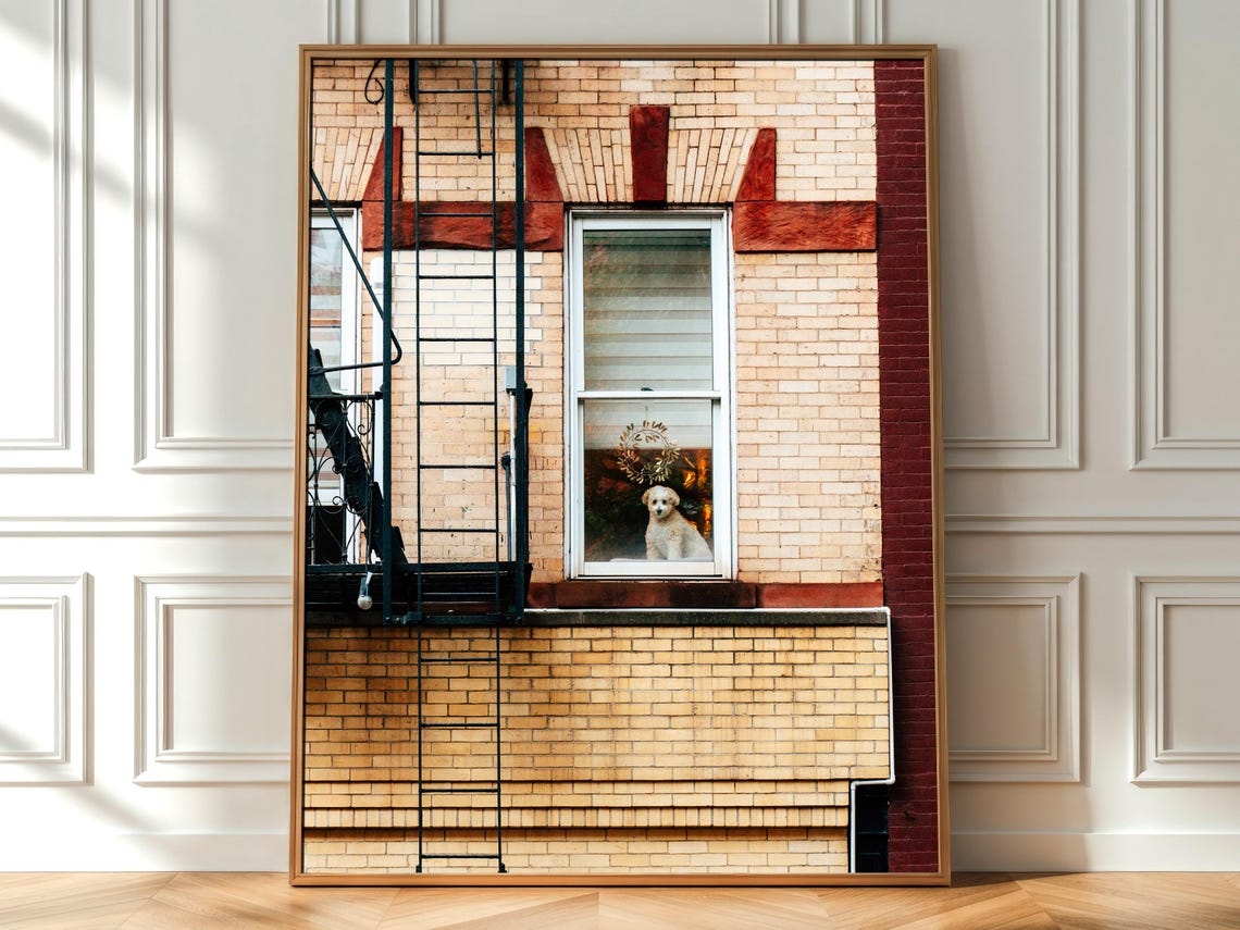 Cute Brooklyn Dog in Window Brick Fire Escape NYC Photo Print