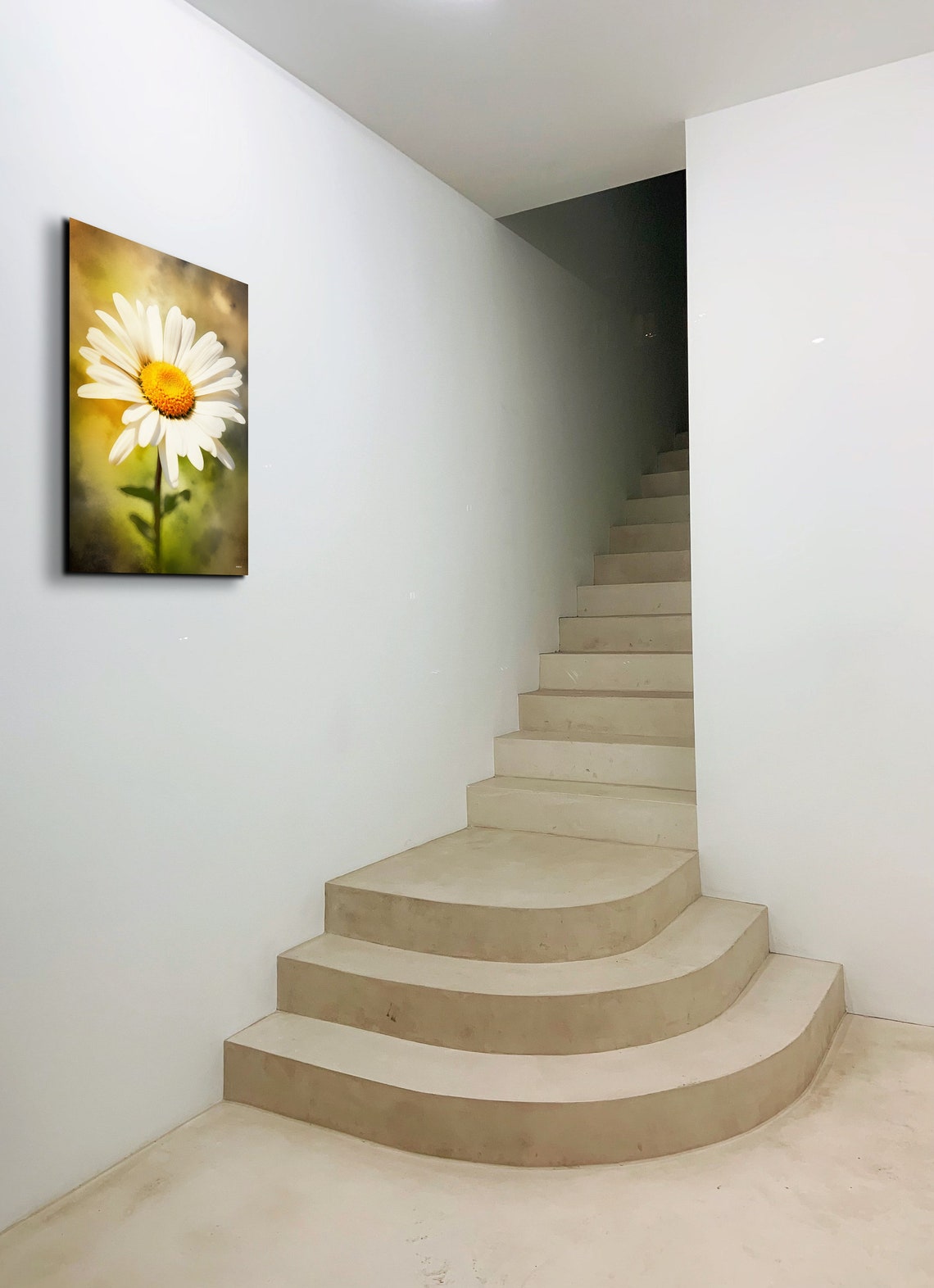 White Daisy Flower Macro Botanical Soft Golden Light Art Poster - Image 6