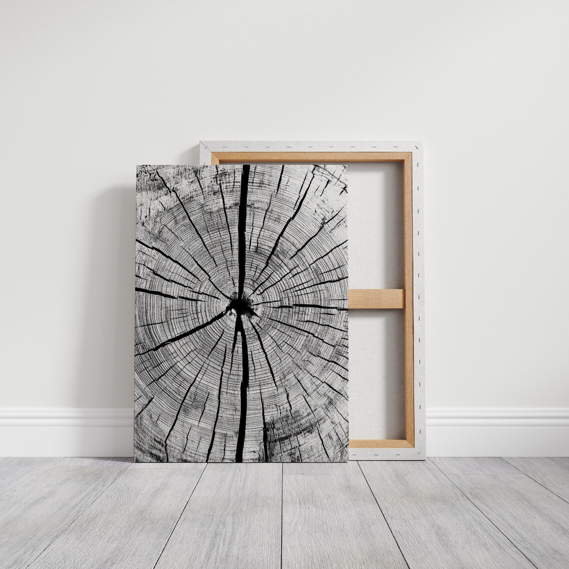 Tree Ring Wall Art, Minimalist Natural Decor - Image 6