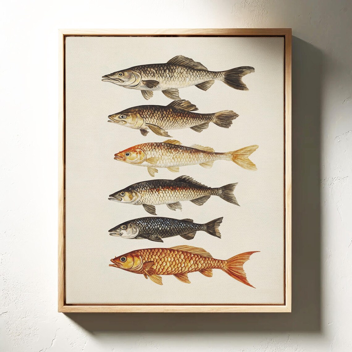 Six Vintage Fish Species Illustration Rustic Coastal Nature Art Poster